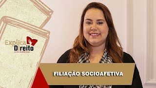 Explica Direito Filiação Socioafetiva  2019 [upl. by Kirby]