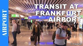 TRANSIT WALK AT FRANKFURT Airport FRA Terminal 1  Connection Flight Transfer Arriving amp Departing [upl. by Weinreb]